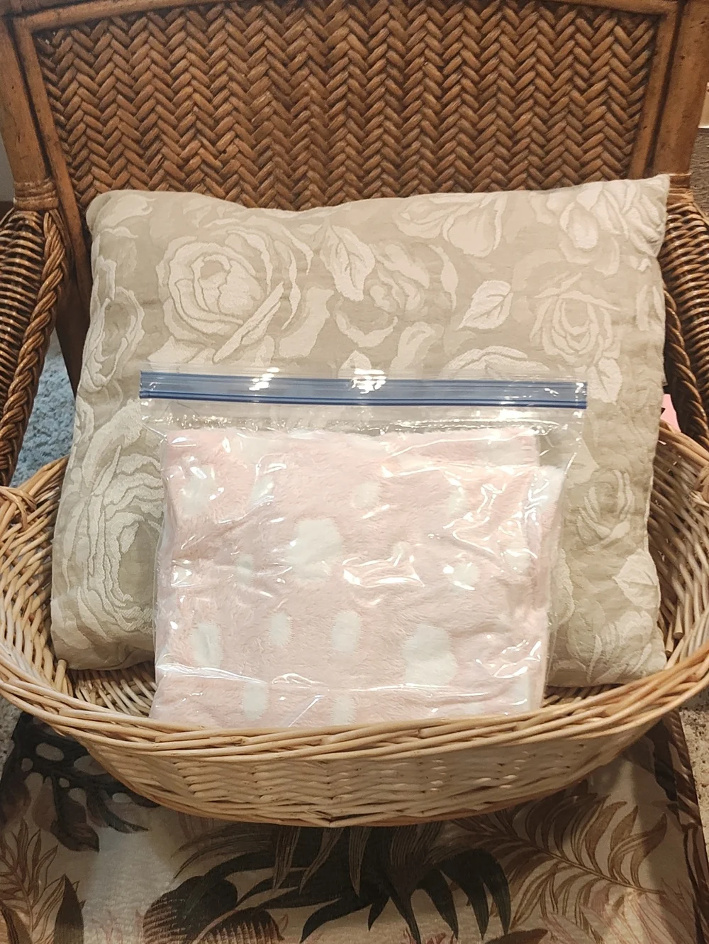 PETS: CAT SLEEP-NIGHT BUNDLE